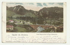 ROMANIA : PODUL DAMBOVICIOAREI CU GURA DAMBOVITEI - circulata 1901,timbru foto