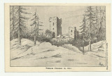 RUINELE CETATII CICEU (BISTRITA-NASAUD) IN 1866 - interbelica, Necirculata, Fotografie