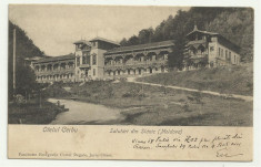 SLANIC MOLDOVA : HOTELUL CERBU - U.P.U.,circulata 1903,timbru foto
