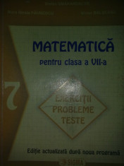 Mara Mirela Paunescu - Matematica. Exercitii. Probleme. Teste clasa a VII-a foto