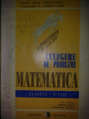 Matematica - culegere de probleme pentru clasele V-VIII - Mihaela Singer foto