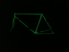 vopsea florestenta bicicleta foto