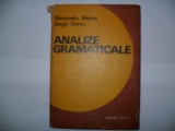 Alexandru Metea-Analize gramaticale