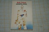 Radu Ciobanu - Arhipelagul - 1987