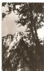 CPI (B905) MUNTII BUCEGI. MASIVUL CARAIMAN, EDITURA MERIDIANE, CPCS, ILUSTRATA CIRCULATA, RPR, STAMPILE, Fotografie