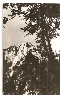 CPI (B905) MUNTII BUCEGI. MASIVUL CARAIMAN, EDITURA MERIDIANE, CPCS, ILUSTRATA CIRCULATA, RPR, STAMPILE foto