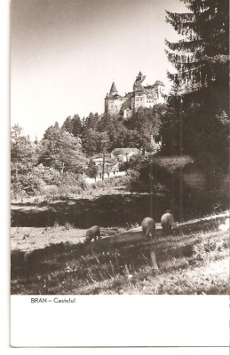 CPI (B904) BRAN - CASTELUL, CPCS, ILUSTRATA NECIRCULATA, RPR, TIMBRU LIPIT foto