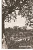 CPI (B912) SIGHISOARA - VEDERE, CPCS, ILUSTRATA CIRCULATA, 1958, STAMPILE, Fotografie