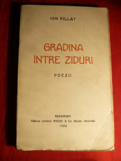 Ion Pillat - Gradina intre Ziduri - Prima Ed. 1920 foto