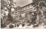 CPI (B889) SFANTU GHEORGHE - SANATORIUL TORIA, CPCS, ILUSTRATA NECIRCULATA, RPR