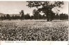 CPI (B902) FAGARAS - VAD, POIANA NARCISELOR, EDITURA MERIDIANE, CPCS, ILUSTRATA NECIRCULATA, RPR, Fotografie