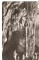 Foto  - 1