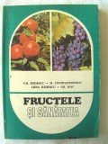 &quot;FRUCTELE SI SANATATEA&quot;, Badescu si altii, 1984. Carte noua