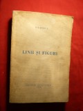 D.D.Rosca - Linii si Figuri - Prima Ed 1943 , 272 pag , uzata