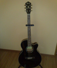 Ibanez AEG10E-BK foto