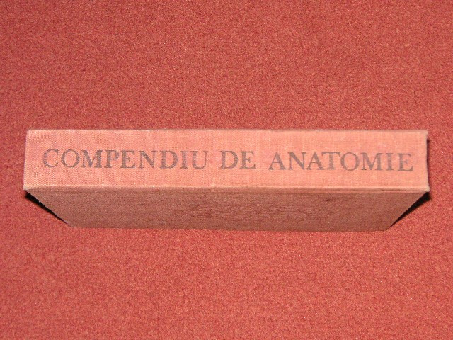 Compendiu de Anatomie - Mircea Ifrim, Gheorghe Niculescu