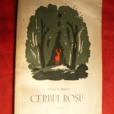 Vlaicu Birna - Cerbul Rosu - Poem - Prima Ed. 1956