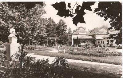 CPI (B966) ORADEA, BAILE VICTORIA, VEDERE DIN PARC, EDITURA MERIDIANE, CPCS, ILUSTRATA CIRCULATA, 1964, STAMPILE foto