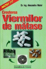 Alexandra Matei - Cresterea viermilor de matase foto