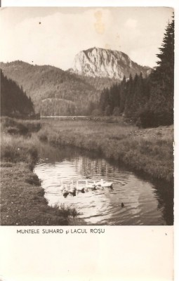 CPI (B979) MUNTELE SUHARD SI LACUL ROSU, EDITURA MERIDIANE, CPCS, ILUSTRATA CIRCULATA, 1960, STAMPILE, TIMBRU foto