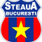 EMBLEMA : STEAUA BUCURESTI!