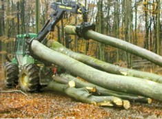 Vand Firma Exploatare Forestiera foto