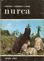 NURCA (Vizonul) foto