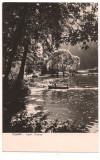 Carte postala(ilustrata)- TUSNAD-Lacul Ciucas, Circulata, Fotografie
