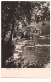 carte postala(ilustrata)- TUSNAD-Lacul Ciucas