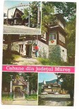 carte postala(ilustrata)-MURES-Cabane din judet