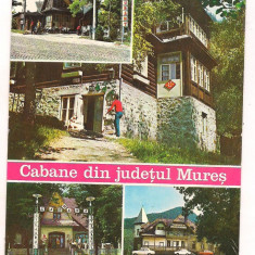 carte postala(ilustrata)-MURES-Cabane din judet