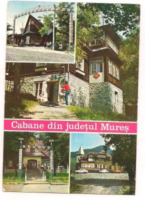 carte postala(ilustrata)-MURES-Cabane din judet foto