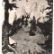 carte postala(ilustrata)-MUNTII HAGHIMASUL MARE-Piatra singuratica