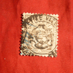 Timbru 3 C gri 1882 Elvetia , hartie cu fire matase , stamp.