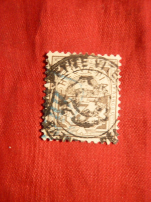 Timbru 3 C gri 1882 Elvetia , hartie cu fire matase , stamp. foto