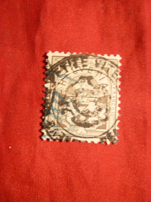 Timbru 3 C gri 1882 Elvetia , hartie cu fire matase , stamp.