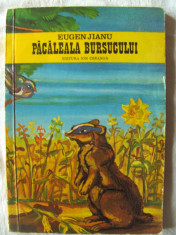 &amp;quot;PACALEALA BURSUCULUI (povestiri din viata animalelor)&amp;quot;, Eugen Jianu, 1976. Coperta si ilustratii de Ion Panaitescu. Editura ION CREANGA. Carte noua foto