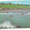 carte postala(ilustrata)-EFORIE SUD -Plaja