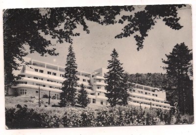 carte postala(ilustrata)-SFANTU GHEORGHE -Toria casa de odihna foto