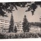 carte postala(ilustrata)-SFANTU GHEORGHE -Toria casa de odihna