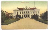 *carte postala(ilustrata)-TURNU SEVERIN-Palatul municipal