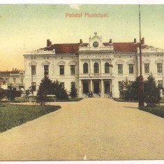 *carte postala(ilustrata)-TURNU SEVERIN-Palatul municipal