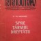 Spre tarmul dreptatii - D. Th. Neculuta