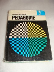 PEDAGOGIE-Georgeta Chirita