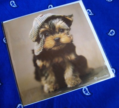 Carte postala - Catelus foto