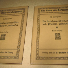 Set carti germane vechi diferite- 13 buc. Pret pe lot.