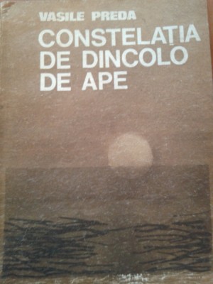 Constelatia de dincolo de ape - Vasile Preda foto