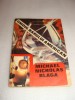 GHIDUL BARULUI AMERICAN- Michael Nicholas Blaga