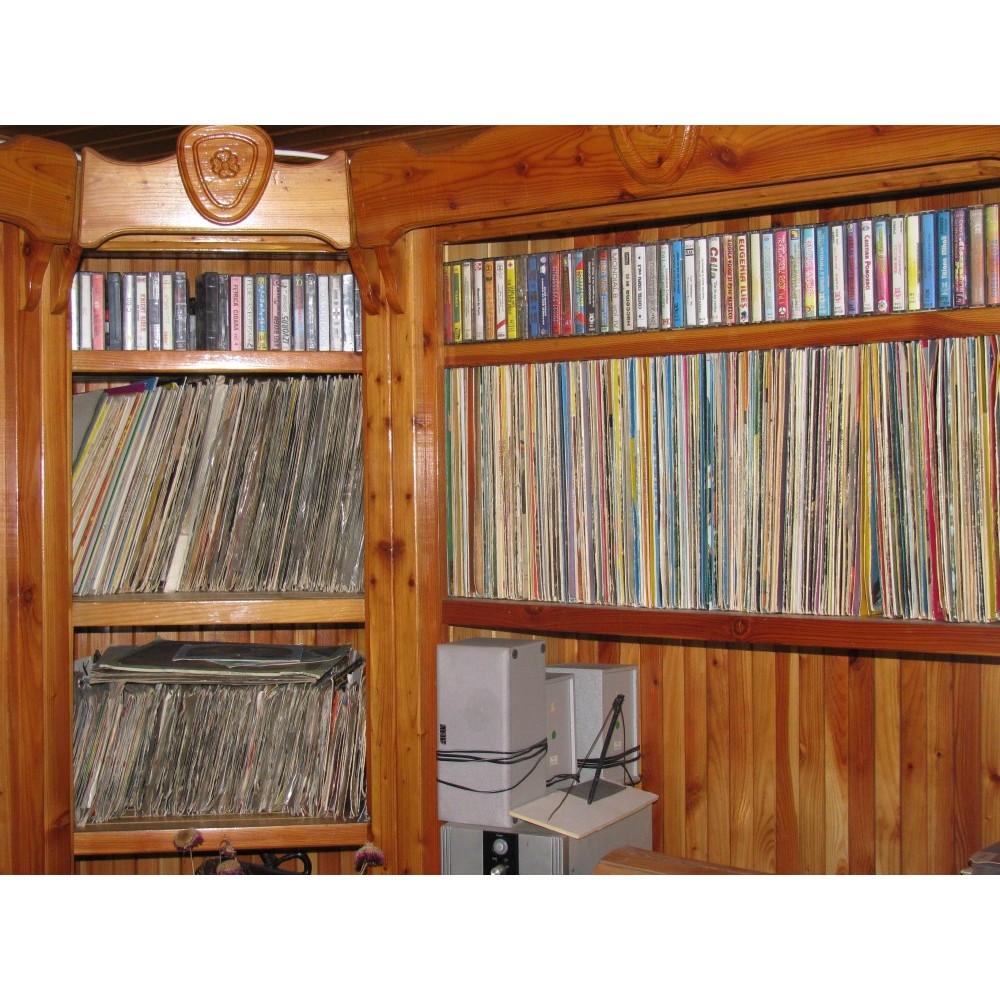 discuri de vinil (vinyl) | arhiva Okazii.ro