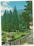carte postala(ilustrata)-SLANIC MOLDOVA -Vedere din parc